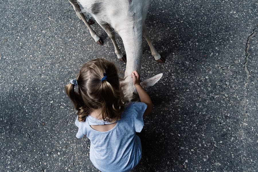 A child pets the head of a goat while sitting on the ground.