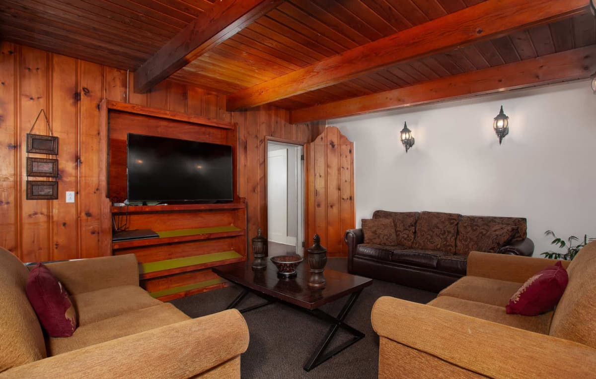 The Treehouse Lodge - living room and HD TV